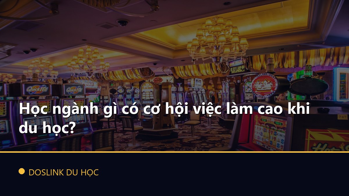 Học ngành gì có cơ hội việc làm cao khi du học?